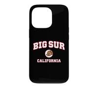 Custodia per iPhone 13 Pro Grande Sur California (CA)