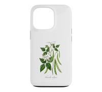 Custodia per iPhone 13 Pro Illustrazione della pianta del fagiolo francese Phaseolus vulgaris