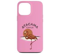 Custodia per iPhone 13 Pro Max Atacama Cile Flamingo Retro Tramonto