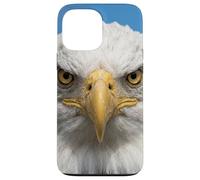 Custodia per iPhone 13 Pro Max Bald Eagle Close Up Ritratto Sharp Wildlife Face