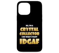 Custodia per iPhone 13 Pro Max Crystal Collector IDGAF Rock Hound Rare Crystals Collection