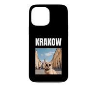 Custodia per iPhone 13 Pro Max Gatto A Cracovia