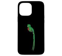 Custodia per iPhone 13 Pro Max Guatemala Chapin Antigua Tikal Peten Coban Maya Guate 502