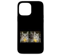 Custodia per iPhone 13 Pro Max Meme di Silly Staring Cat, divertente disegno felino