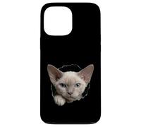 Custodia per iPhone 13 Pro Max Occhi blu del gatto Devon Rex capriccioso che sbircia attraverso