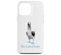 Custodia per iPhone 13 Pro Max Ornitologia della razza di uccelli Booby dai piedi blu