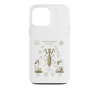 Custodia per iPhone 13 Pro Max Pregare Mantide Anatomia Vintage Field Guide Art