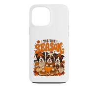 Custodia per iPhone 13 Pro Max Tis The Season Thanksgiving Border Collie Pumpkin Costume