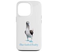 Custodia per iPhone 13 Pro Ornitologia della razza di uccelli Booby dai piedi blu