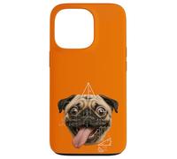 Custodia per iPhone 13 Pro Parodia meme matematica cane carlino dagli occhi selvaggi