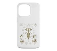 Custodia per iPhone 13 Pro Pregare Mantide Anatomia Vintage Field Guide Art