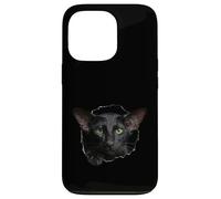 Custodia per iPhone 13 Pro Striking Black Oriental Shorthair Cat che sbircia attraverso