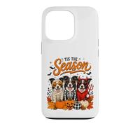 Custodia per iPhone 13 Pro Tis The Season Halloween Border Collie Pumpkin Costume