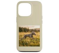 Custodia per iPhone 13 Pro Weimaraner - Campi in esecuzione al tramonto