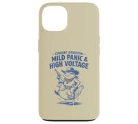 Custodia per iPhone 13 Situazione attuale: lieve panico e alta tensione