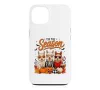 Custodia per iPhone 13 Tis The Season Halloween Llama Pumpkin Costume