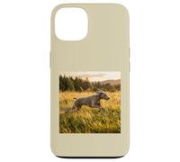 Custodia per iPhone 13 Weimaraner - Campi in esecuzione al tramonto