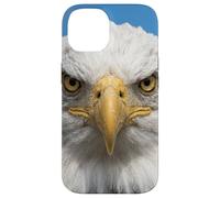Custodia per iPhone 14 Bald Eagle Close Up Ritratto Sharp Wildlife Face
