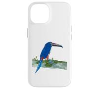 Custodia per iPhone 14 Design uccellino blu tucano per ornitologo