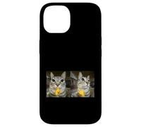 Custodia per iPhone 14 Meme di Silly Staring Cat, divertente disegno felino
