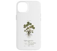 Custodia per iPhone 14 Plus Artistic St Patricks Day Quadrifoglio Botanico Vintage