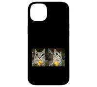 Custodia per iPhone 14 Plus Meme di Silly Staring Cat, divertente disegno felino