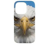 Custodia per iPhone 14 Pro Bald Eagle Close Up Ritratto Sharp Wildlife Face