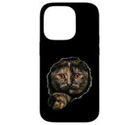 Custodia per iPhone 14 Pro Bellissimo gatto tartarugato con occhi d'ambra che sbirciano attraverso