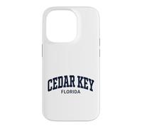 Custodia per iPhone 14 Pro Cedar Key Florida Vintage