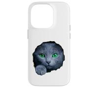 Custodia per iPhone 14 Pro Colpisce il gatto blu russo con gli occhi verdi che sbirciano attraverso