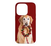 Custodia per iPhone 14 Pro Corona d'Avvento natalizia per cani Golden Retriever