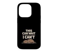 Custodia per iPhone 14 Pro Cute Capybara Stress Relief No Stress Chill Life Rilassante
