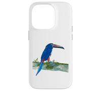 Custodia per iPhone 14 Pro Design uccellino blu tucano per ornitologo