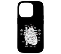 Custodia per iPhone 14 Pro Diagramma di anatomia cardiaca Sistema cardiovascolare Scienze mediche