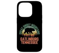 Custodia per iPhone 14 Pro Gatlinburg