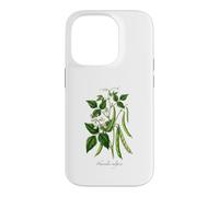 Custodia per iPhone 14 Pro Illustrazione della pianta del fagiolo francese Phaseolus vulgaris