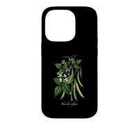 Custodia per iPhone 14 Pro Illustrazione della pianta del fagiolo francese Phaseolus vulgaris