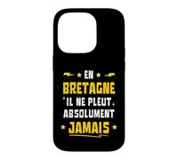 Custodia per iPhone 14 Pro In Bretagna non piove Assolutamente Mai Umorismo Breton