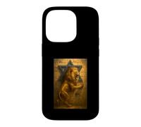 Custodia per iPhone 14 Pro Leone Di Giuda Gerusalemme Muro Occidentale La Stella Di David