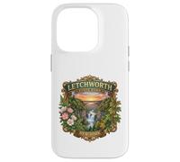 Custodia per iPhone 14 Pro Letchworth State Park New York Cascate novità souvenir