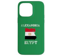 Custodia per iPhone 14 Pro Max Bandiera dell'Egitto Distressed Alessandria Pride