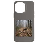 Custodia per iPhone 14 Pro Max Beagle Tracking Forest Trail Nebbia Scena del bosco