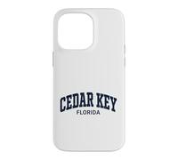 Custodia per iPhone 14 Pro Max Cedar Key Florida Vintage