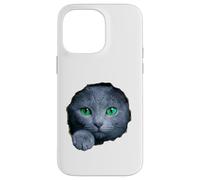 Custodia per iPhone 14 Pro Max Colpisce il gatto blu russo con gli occhi verdi che sbirciano attraverso