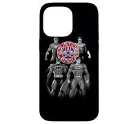 Custodia per iPhone 14 Pro Max Justice League Shades of Gray
