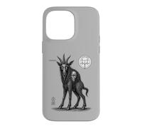 Custodia per iPhone 14 Pro Max Leonard il Vagabondo Arcano