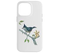 Custodia per iPhone 14 Pro Max Ornitologia di uccellino bellissimo topo ciuffo