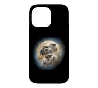 Custodia per iPhone 14 Pro Max Ragni saltatori Gold Moon Kawaii Chibi Ragni aerografo