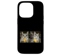 Custodia per iPhone 14 Pro Meme di Silly Staring Cat, divertente disegno felino