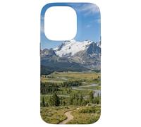 Custodia per iPhone 14 Pro Montagne Rocciose Scenic Valley Fiume Paesaggio Grafico